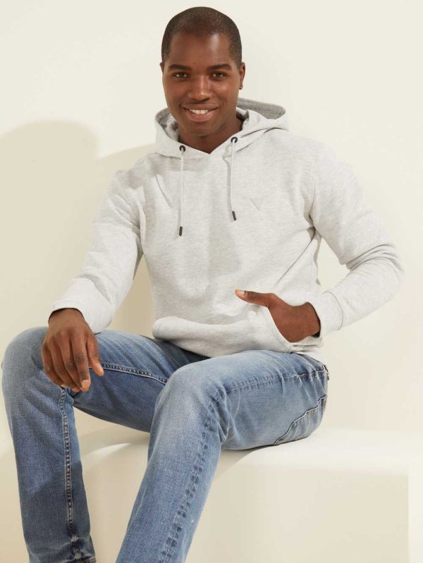 Guess Eco Aldwin Hoodie Herr Ljusgrå | 645087-WRA