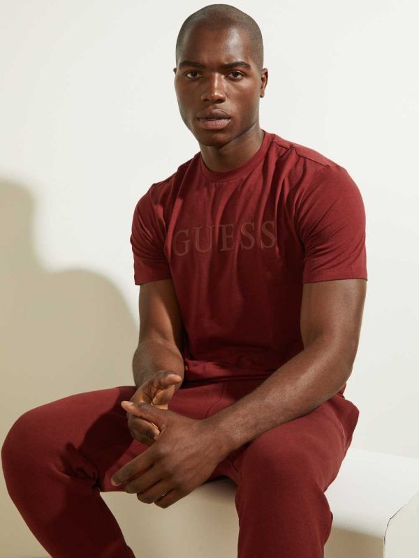 Guess Eco Alphy T-shirt Herr Vinröda | 820369-DQO