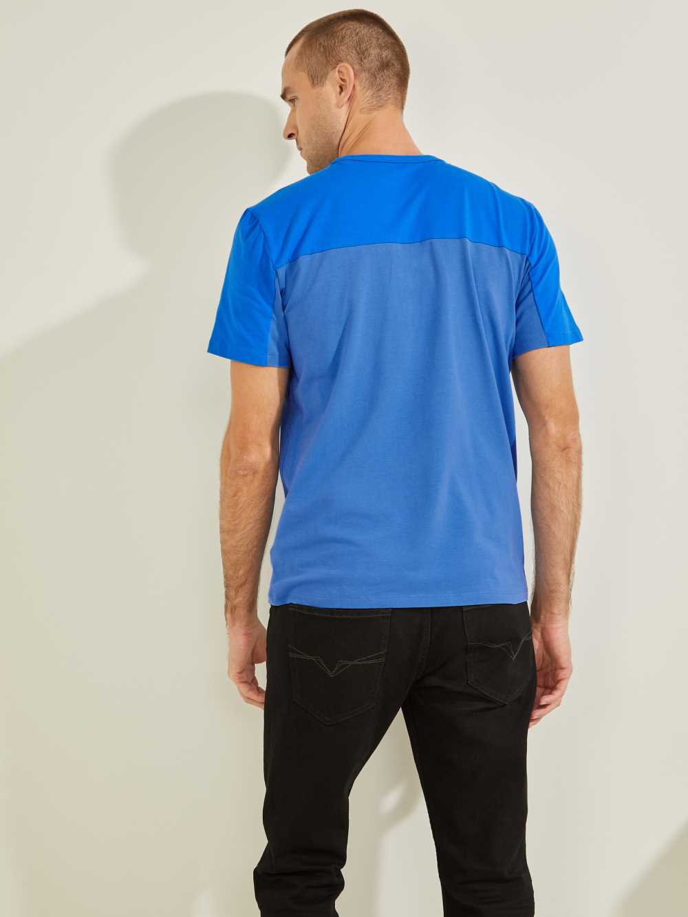 Guess Larrie Color-Block T-shirt Herr Blå | 361578-UFC